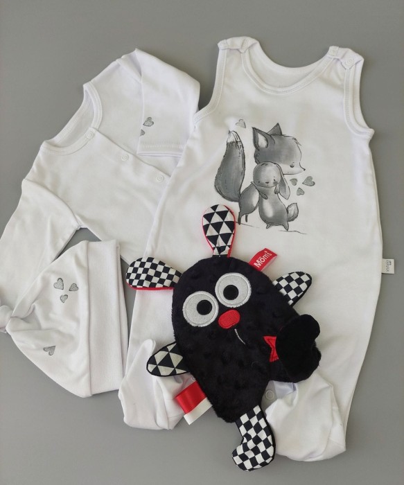zestaw-prezentowy-dla-noworodka-foxy-damami-do-100-zlotych.jpg